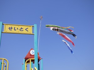 P1050129