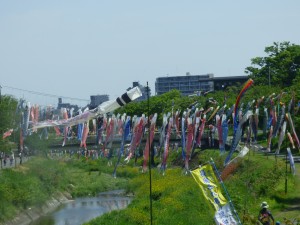 P1050362