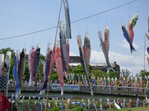 P1050393