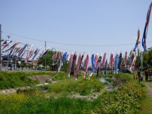 P1050408