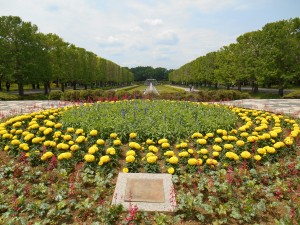 DSCN0721