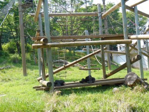 DSCN0738