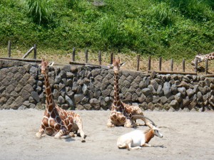 DSCN0745