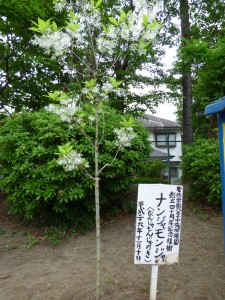 P1050670