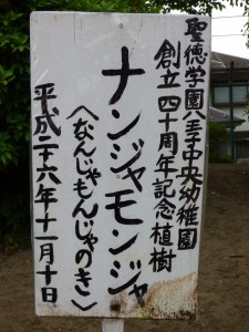 P1050673