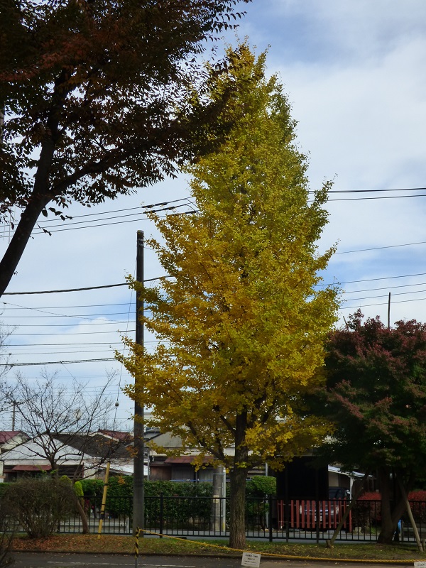 p1110470