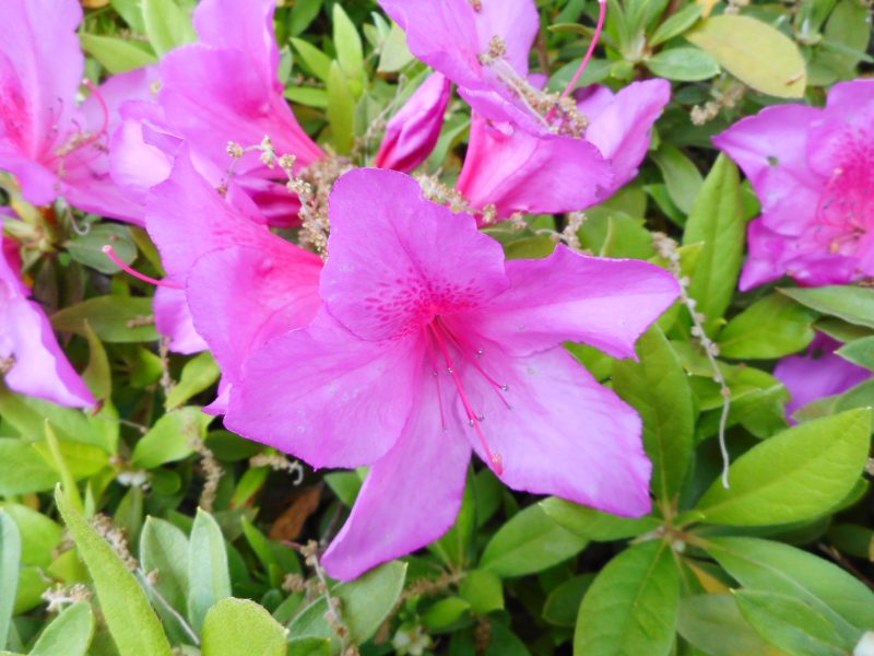 dscn0447