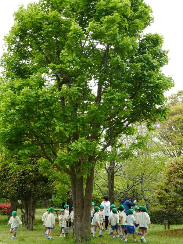 dscn0451