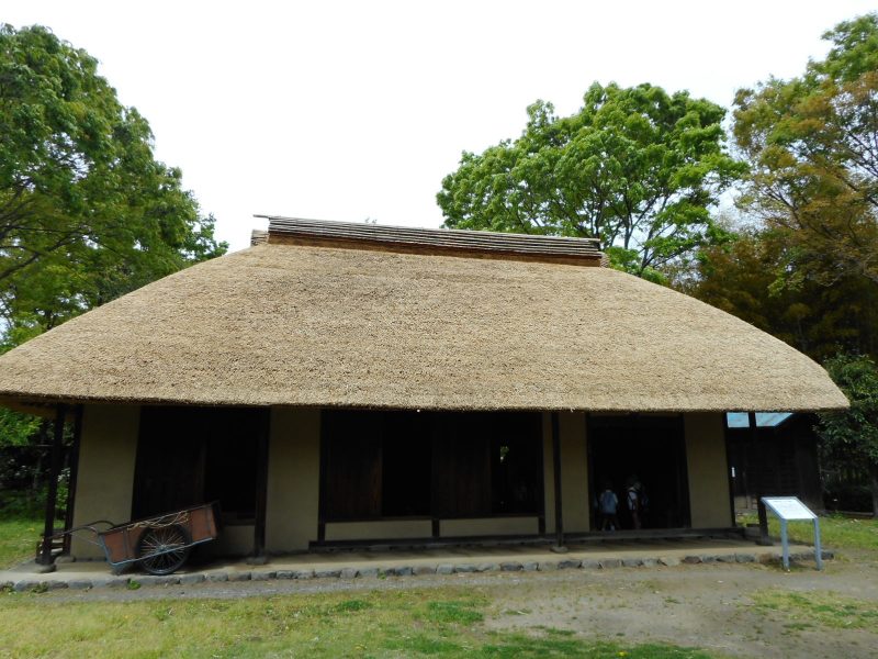 dscn0497