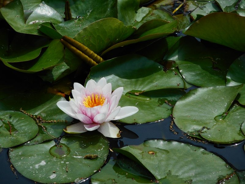 dscn0506