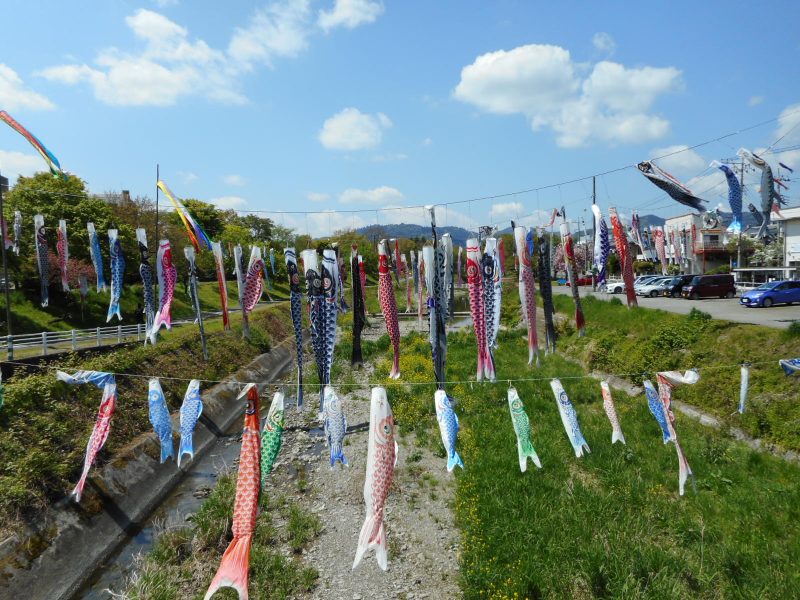 dscn0563