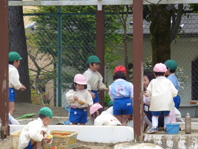 p1160811