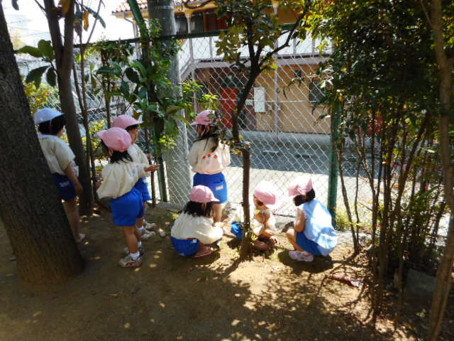 dscn0717