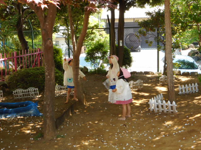 dscn0762