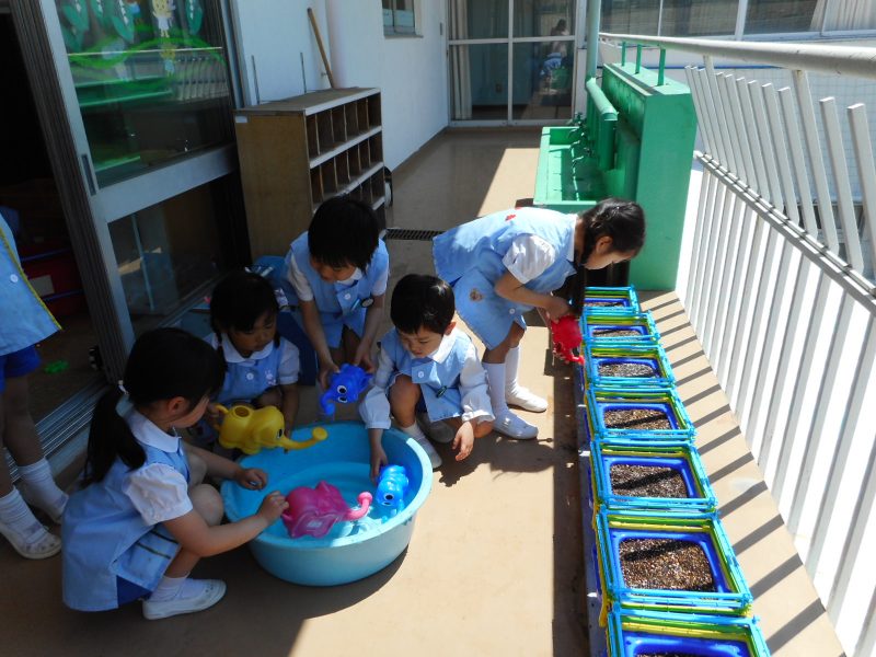 dscn0982