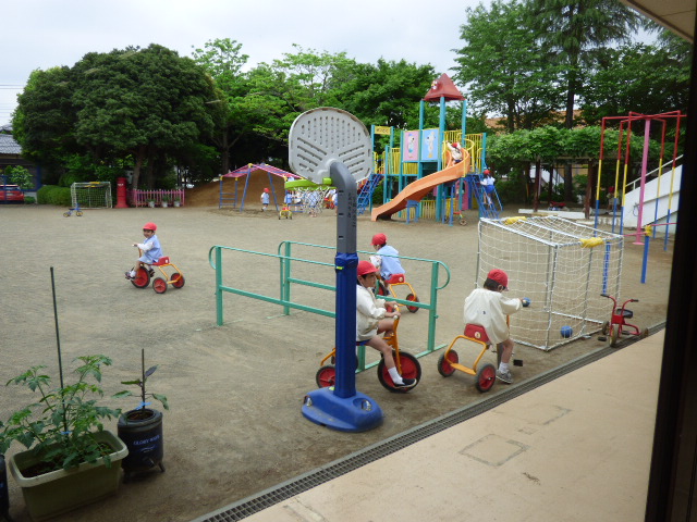p1170481
