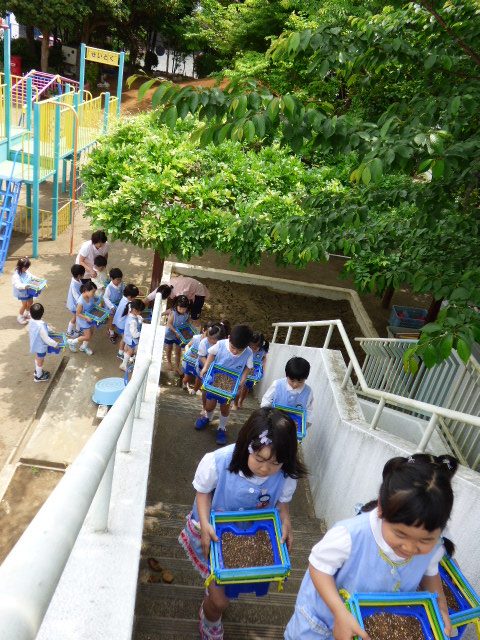 p1170583