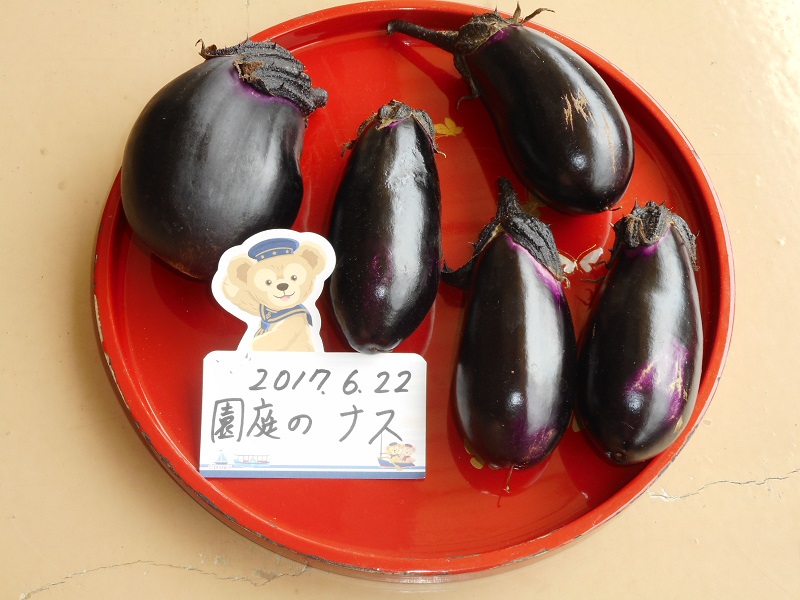 dscn1255