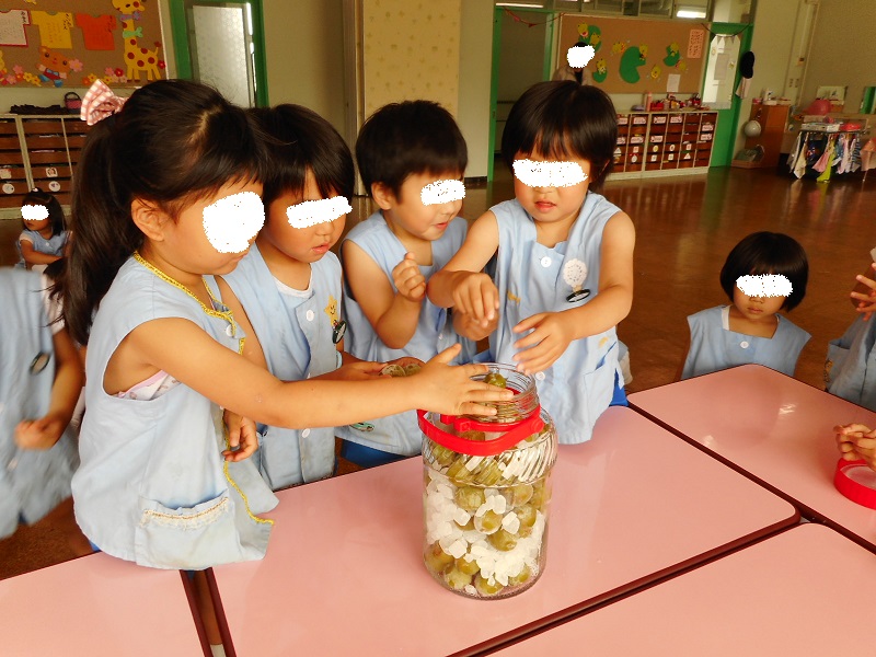 dscn1554