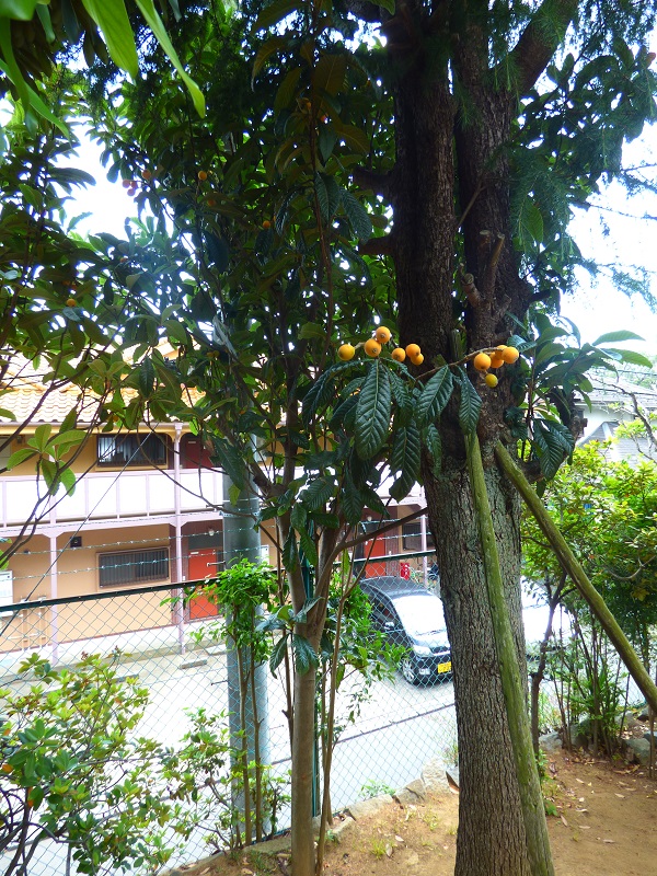 p1180705