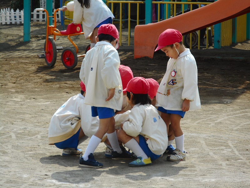 dscn6804