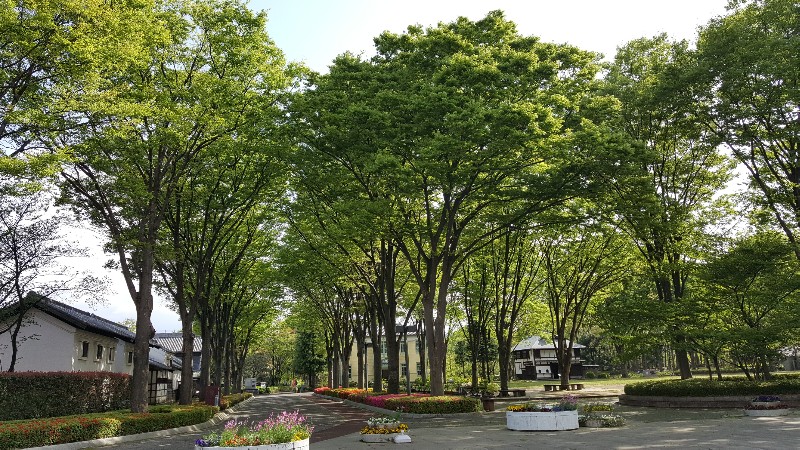 20180411_145741-800x450