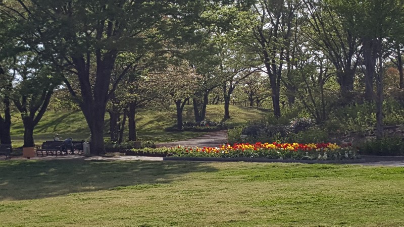 20180411_150759-800x450