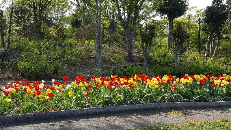 20180411_150930-800x450