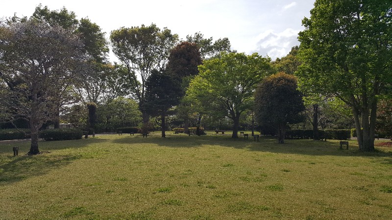 20180411_151935-800x450
