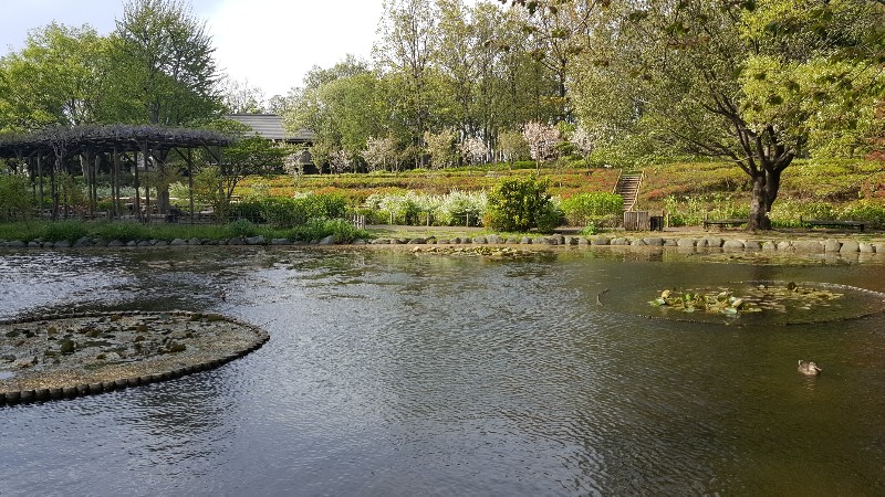 20180411_152811-800x450