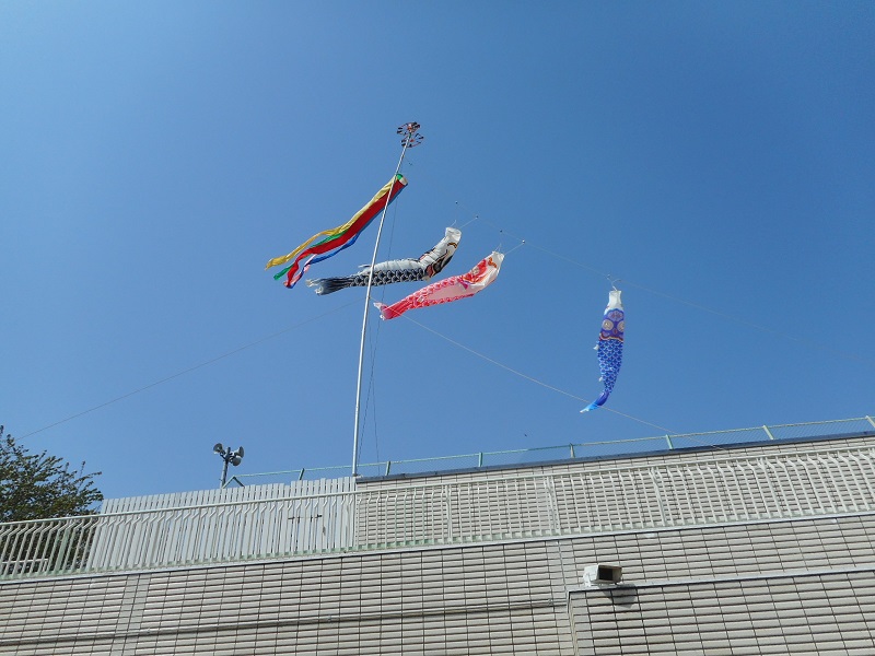 dscn7726