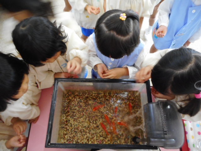 dscn0079