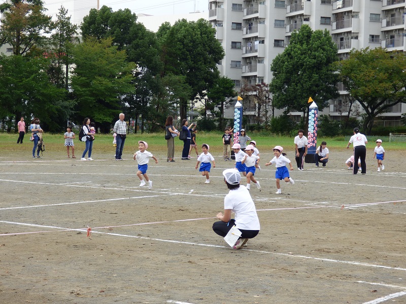 p1290611