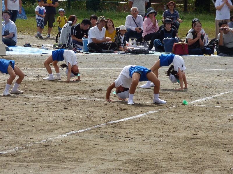 p1290651