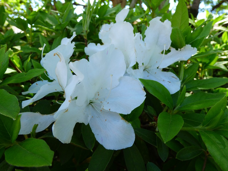 p1350400