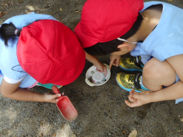 dscn3131