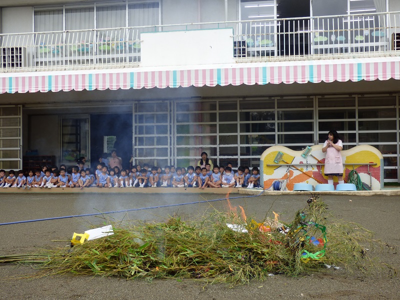 p1370132