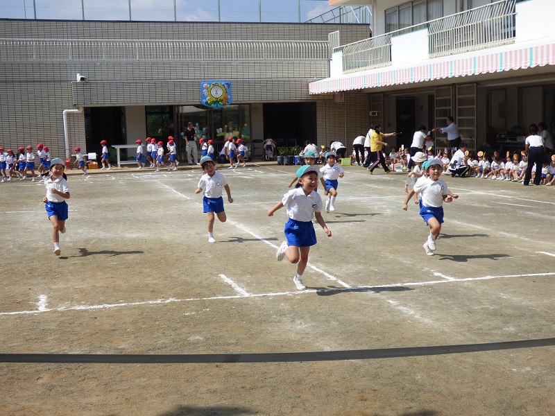 p1380660
