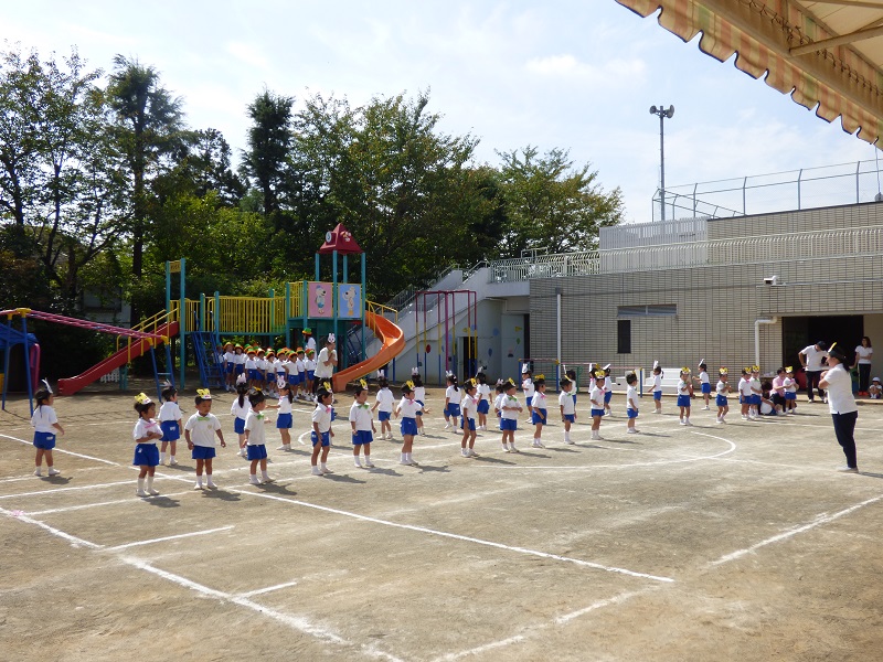 p1380686
