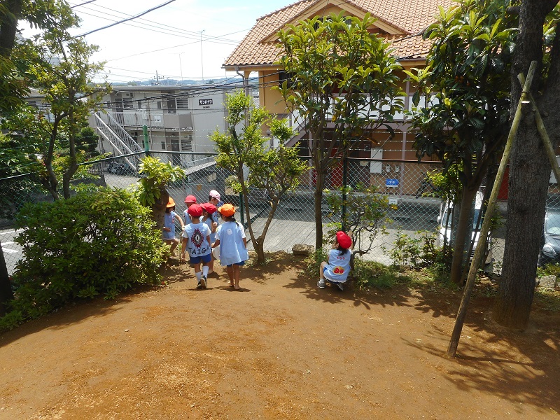 dscn6233