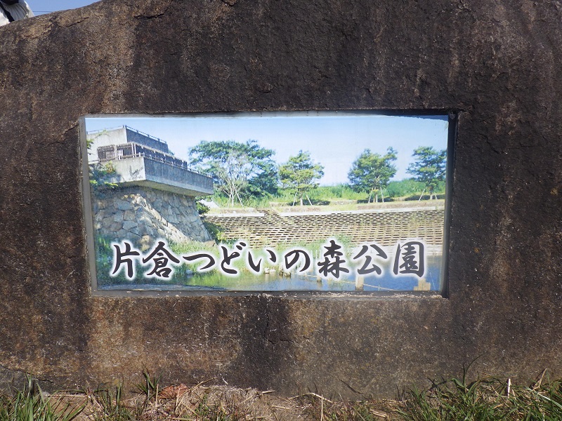 rimg8984