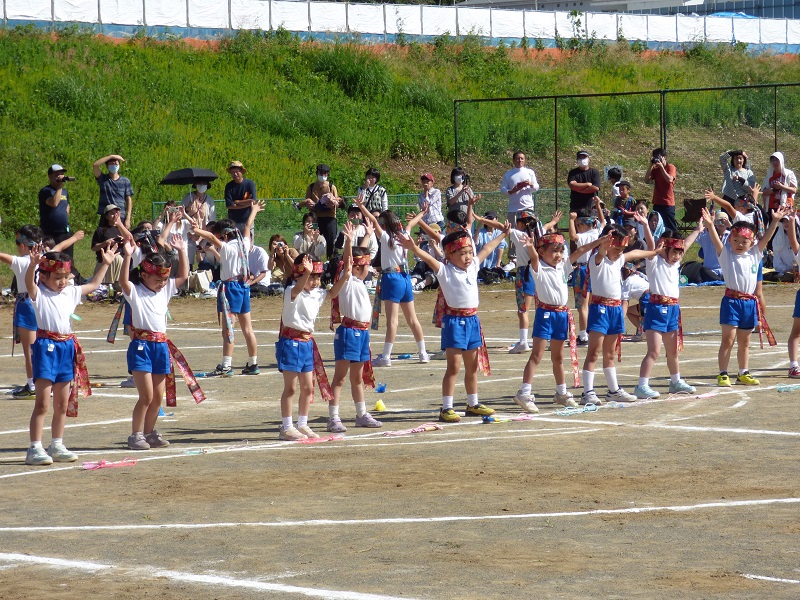 p1630131