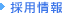 �̗p���