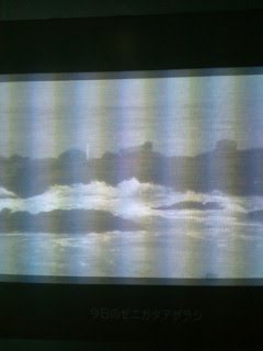 あざらし見えますか? あざらし見えますか?