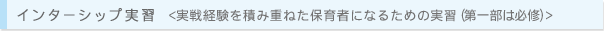 インターシップ実習 ＜実戦経験を積み重ねた保育者になるための実習（第一部は必修）＞