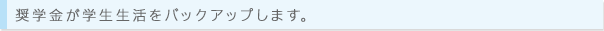 奨学金が学生生活をバックアップします。(学校独自の奨学金制度はありません。)