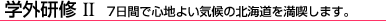 �w�O���C2