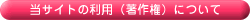 ���T�C�g�̗��p�i���쌠�j�ɂ���