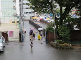 img_0080