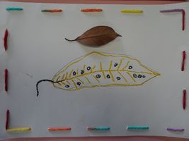 33